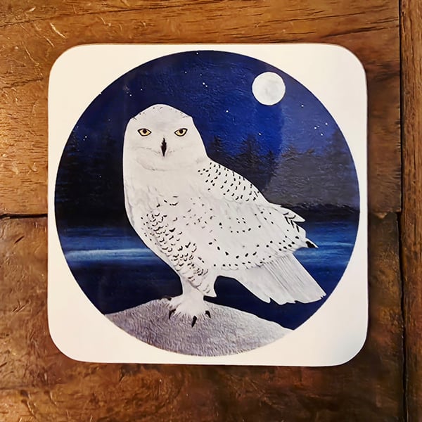 Snowy Owl Coaster