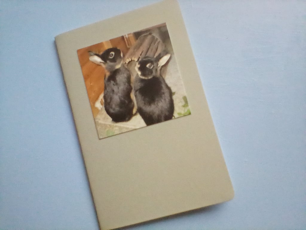 Mini Notebook featuring Bunny Photo Rabbit Picture