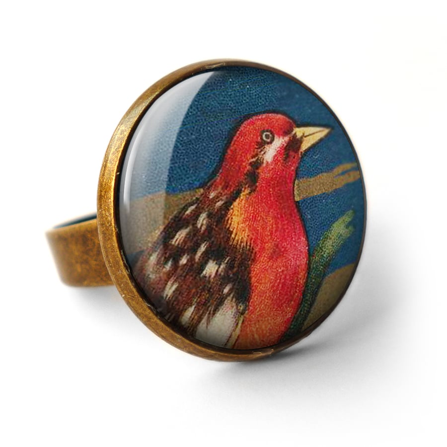 Crimson Bird Ring (TB01)