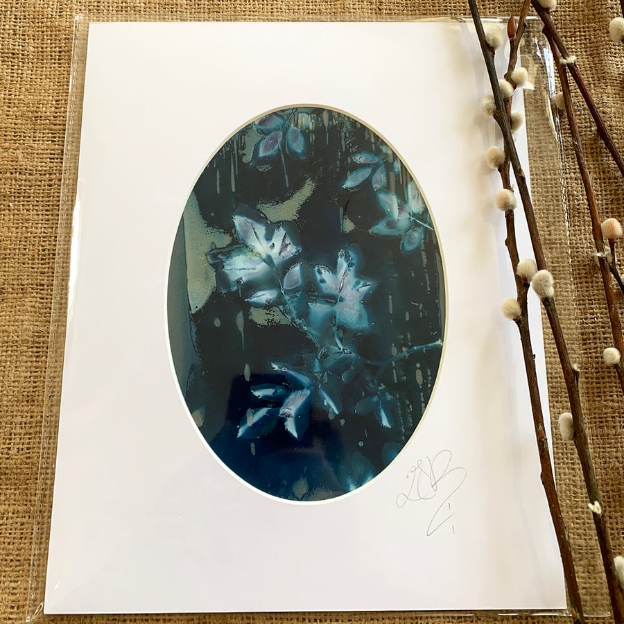 Cyanolumen Flowers Mount no.1