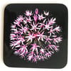 Pink Allium Flower Coaster 