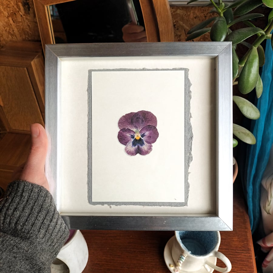 A6 flower print, Pressed Viola Flower