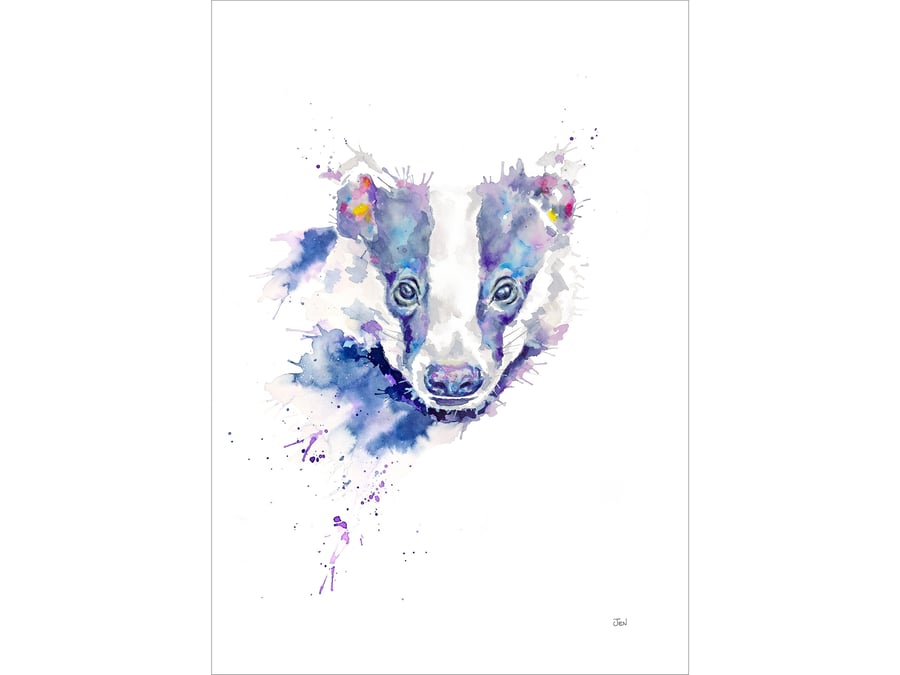 Badger watercolour print, painting, illustration, woodland, British wildlife