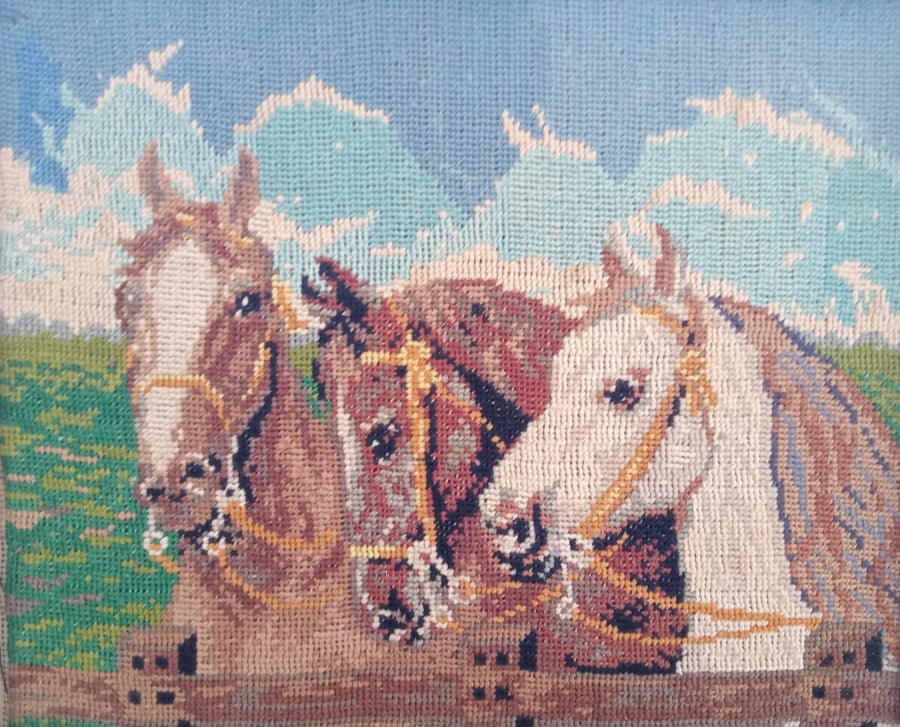 Horses 