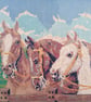 Horses 