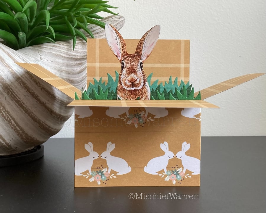 Brown Rabbit 3D Box Card. Blank Personalised for any occasion. Gift card holder.