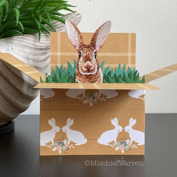 Brown Rabbit 3D Box Card. Blank Personalised for any occasion. Gift card holder.