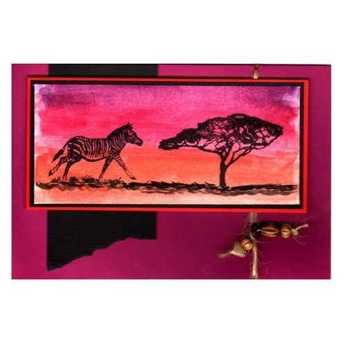 Africa Zebra at Sunset (AF068)