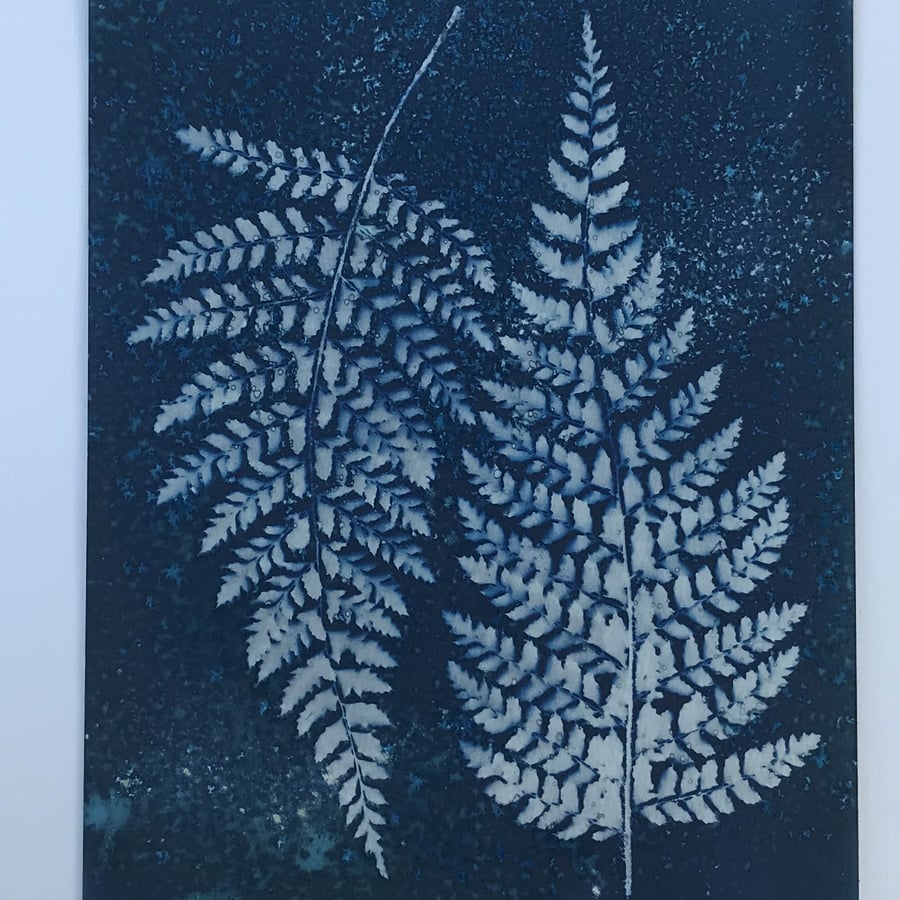 Linnaeus - Fern art in this Botanical Cyanotype Photogram.