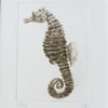 Sea Horse original print