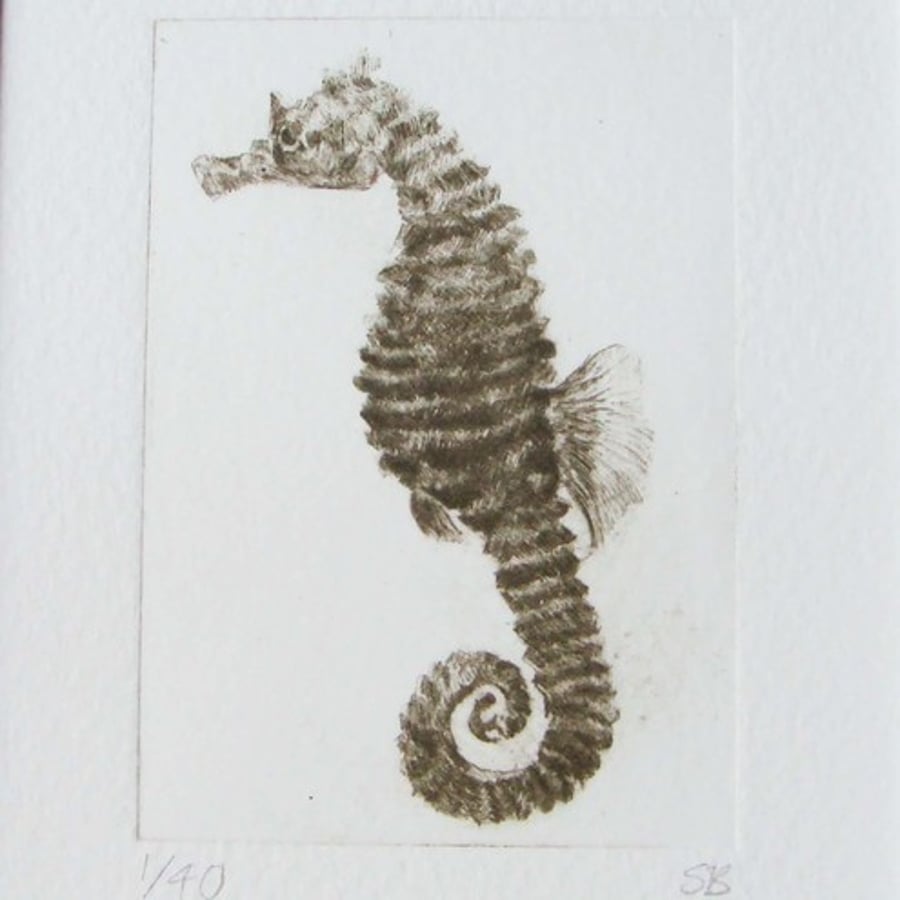 Sea Horse original print