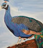 Birds - Image 7