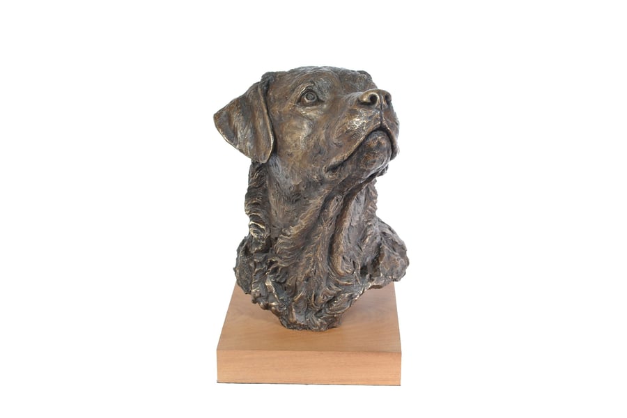 Labrador Portrait 2 Dog Statue Large Bronze Resin Indoor Sculpture