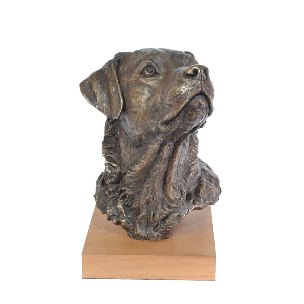 Labrador Portrait 2 Dog Statue Large Bronze Resin Indoor Sculpture