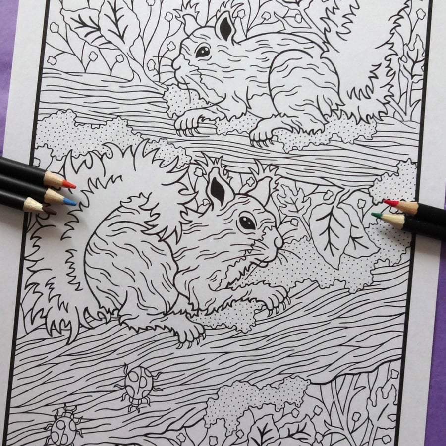 Squirrels Woodland Animals A4 Colouring Page Printable JPG by S Godwin Studio