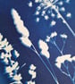 Cyanotype Botanical Print No. 10 - Image 3