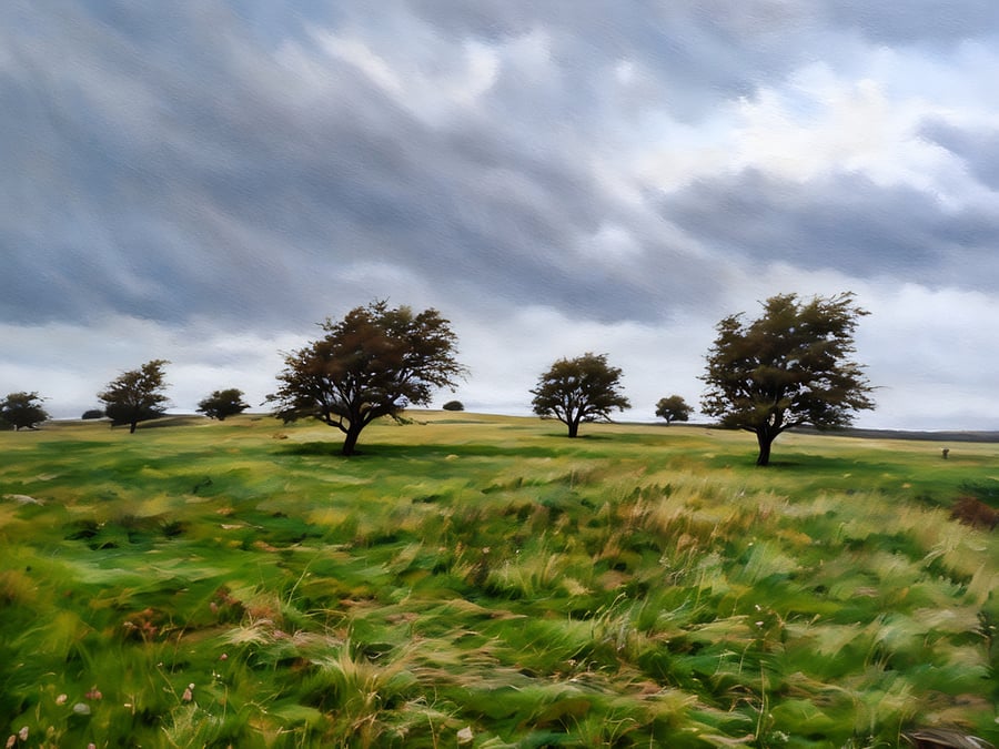 Yorkshire Dales Greeting Card Windy Ridge 