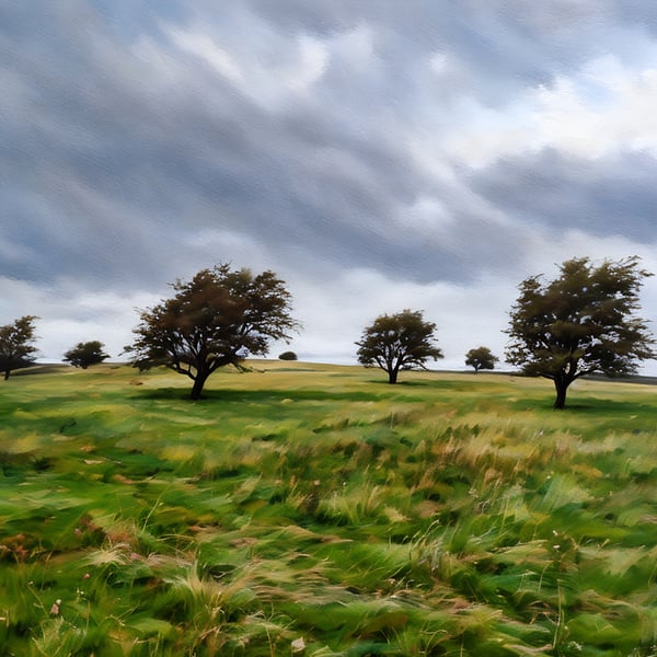 Yorkshire Dales Greeting Card Windy Ridge 