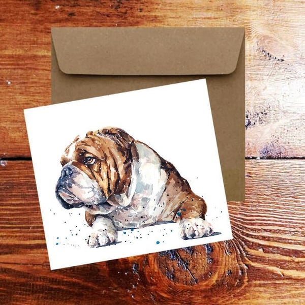 English Bulldog Dog Square Greeting Card- English Bulldog Dog card,English Bulld