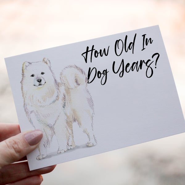 Samoyed  Dog Birthday Card, Dog Birthday Card, Personalized