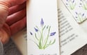 Bookmarks