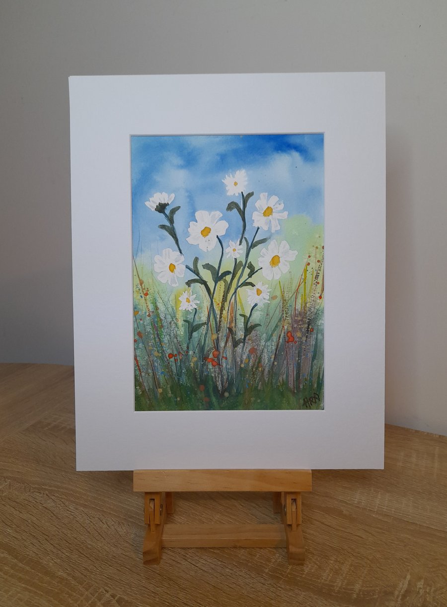 Watercolour Daisies, painting in white mount ready for framing