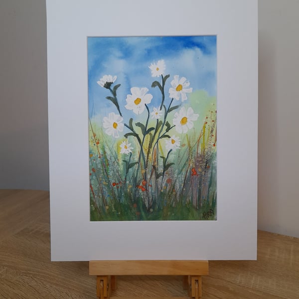 Watercolour Daisies, painting in white mount ready for framing