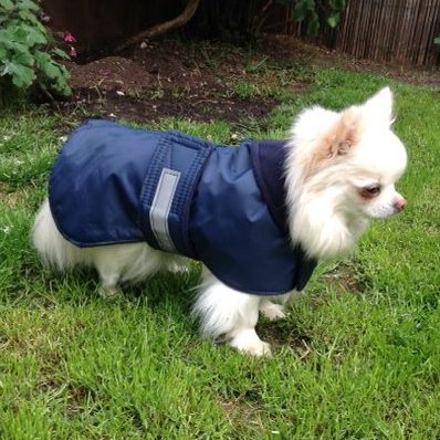 Dog coat, summer rain coat with airtex lining,sizes 14" puppy to 28" large breed