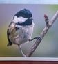Coal Tit in Rowan Tree A6 Ethically Made Blank Greeting Card - Image 2