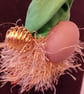 Gnome Christmas Tree Ornament - Green Hat and Gold Beard - Image 5