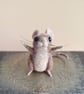 Mischief Mouse - Rodger - Image 5