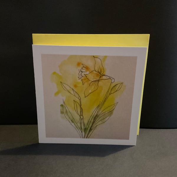 Daffodil