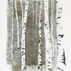 Birch tree bark artist greeting card notelet 