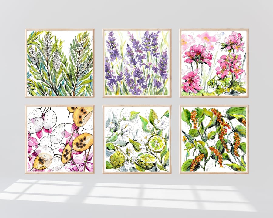 The Garden Series – Set of Six Botanical Watercolour Art Prints - Unframed Gifts