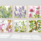 The Garden Series – Set of Six Botanical Watercolour Art Prints - Unframed Gifts