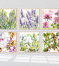 The Garden Series – Set of Six Botanical Watercolour Art Prints - Unframed Gifts