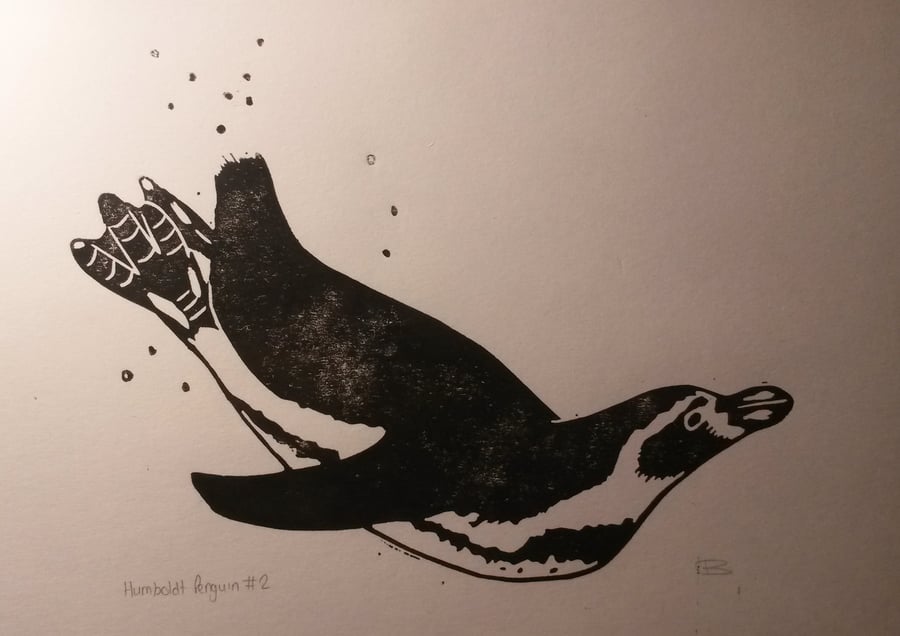 'Humboldt penguin no. 2' lino print