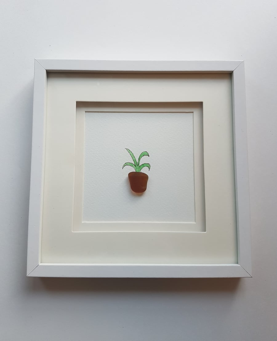 Amber Sea Glass Plant Pot & Houseplant Picture