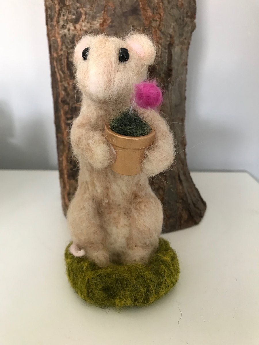 Reggie goes to the flower show