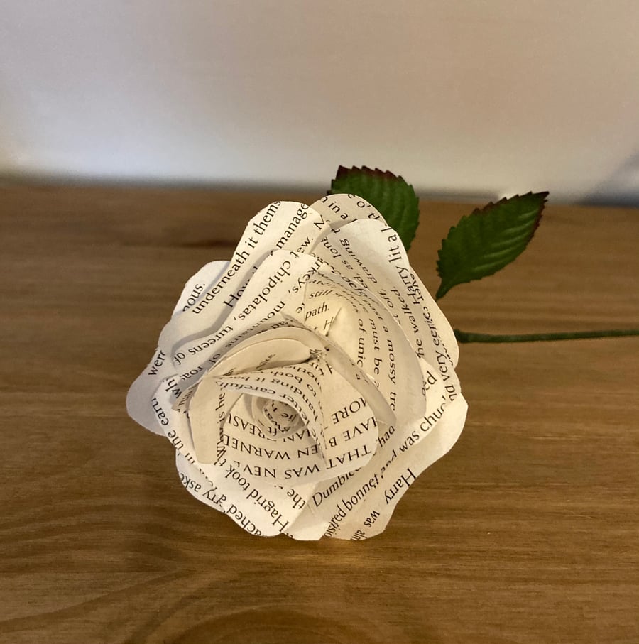 Harry Potter Rose