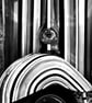 Vespa Piaggio Italian Scooter Motorbike Photograph Print