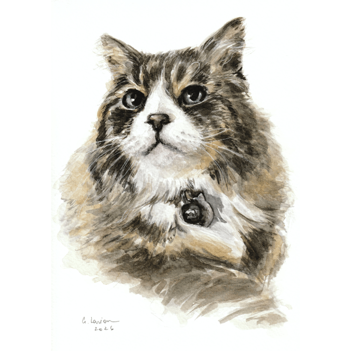 Custom A5 Pet Portrait WATERCOLOUR PAINTING