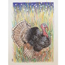 Wild Turkey, original bird drawing, small bird wall art