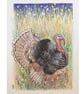 Wild Turkey, original bird drawing, small bird wall art