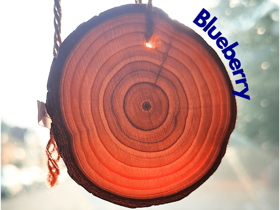 Blueberry Car Air Freshener. Wooden slice with long-lasting fragrance. Handmade.