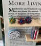 Biology Book Nook - Image 8
