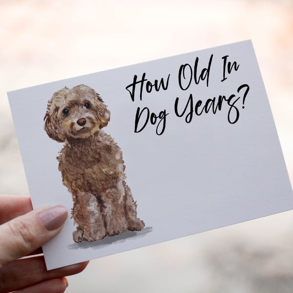 Cockapoo Brown Dog Birthday Card, Dog Birthday Card, Personalized Dog Breed Card