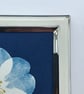 Pretty Botanical Gift, Cyanotype Original Photogram, Botanical Art. - Image 3
