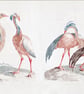 Flamingo Lampshade - Flamingos Print Exotic Bird Print Lampshade - Image 6