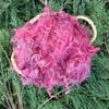 50g Raspberry Gotland Fleece